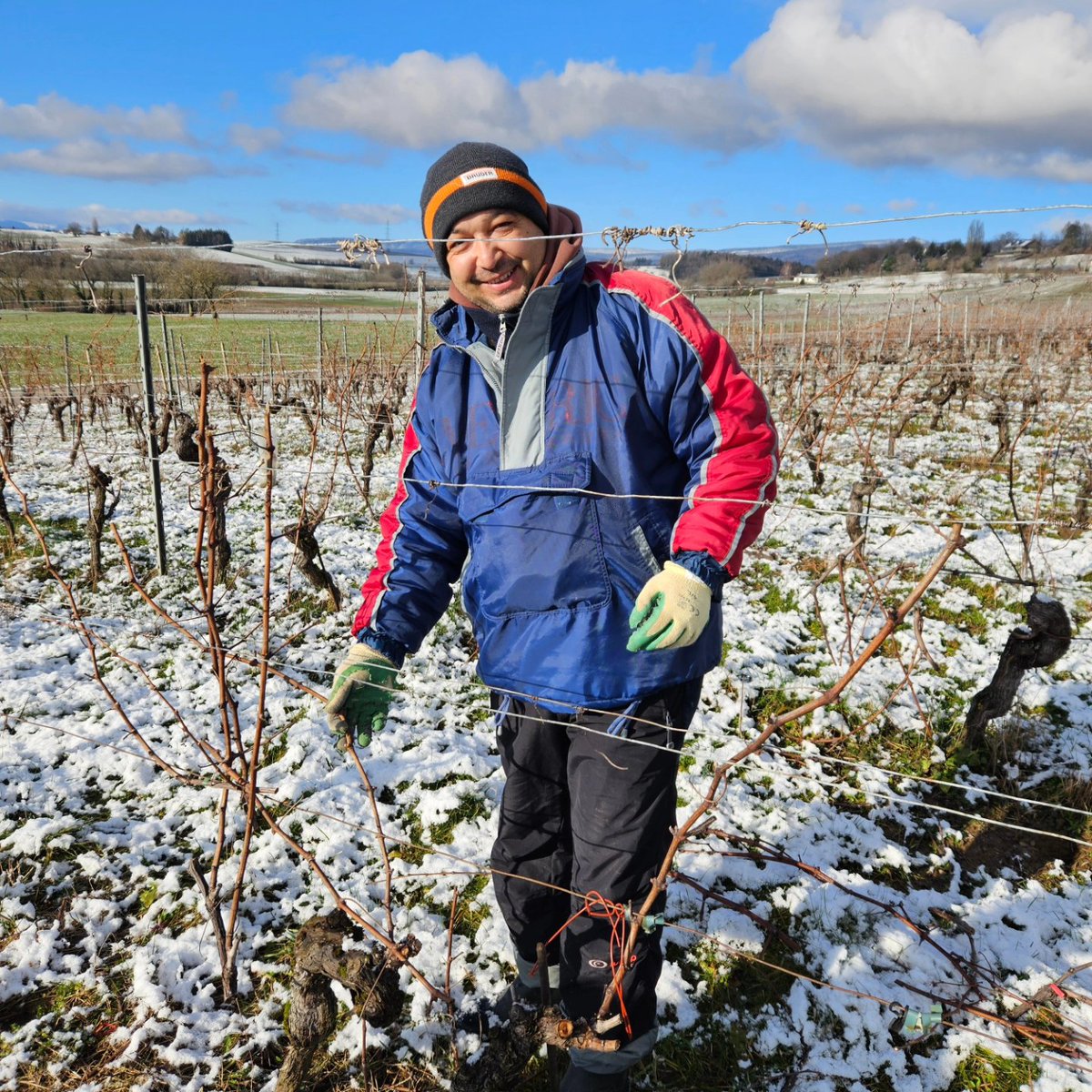 CaveJDC's tweet photo. 😉 Les vacances sont terminées... L'aventure commence ! 💃 Aujourd'hui, nous lançons la saison de la taille ✂️ des vignes.🍇 Préparons-nous pour une année riche en saveurs 😋 et en découvertes ! 🤗

#cavejeandanielcoeytaux #JDC #taille #vigne #vigneronindependant #swisswine https://t.co/DETL4lZxU1