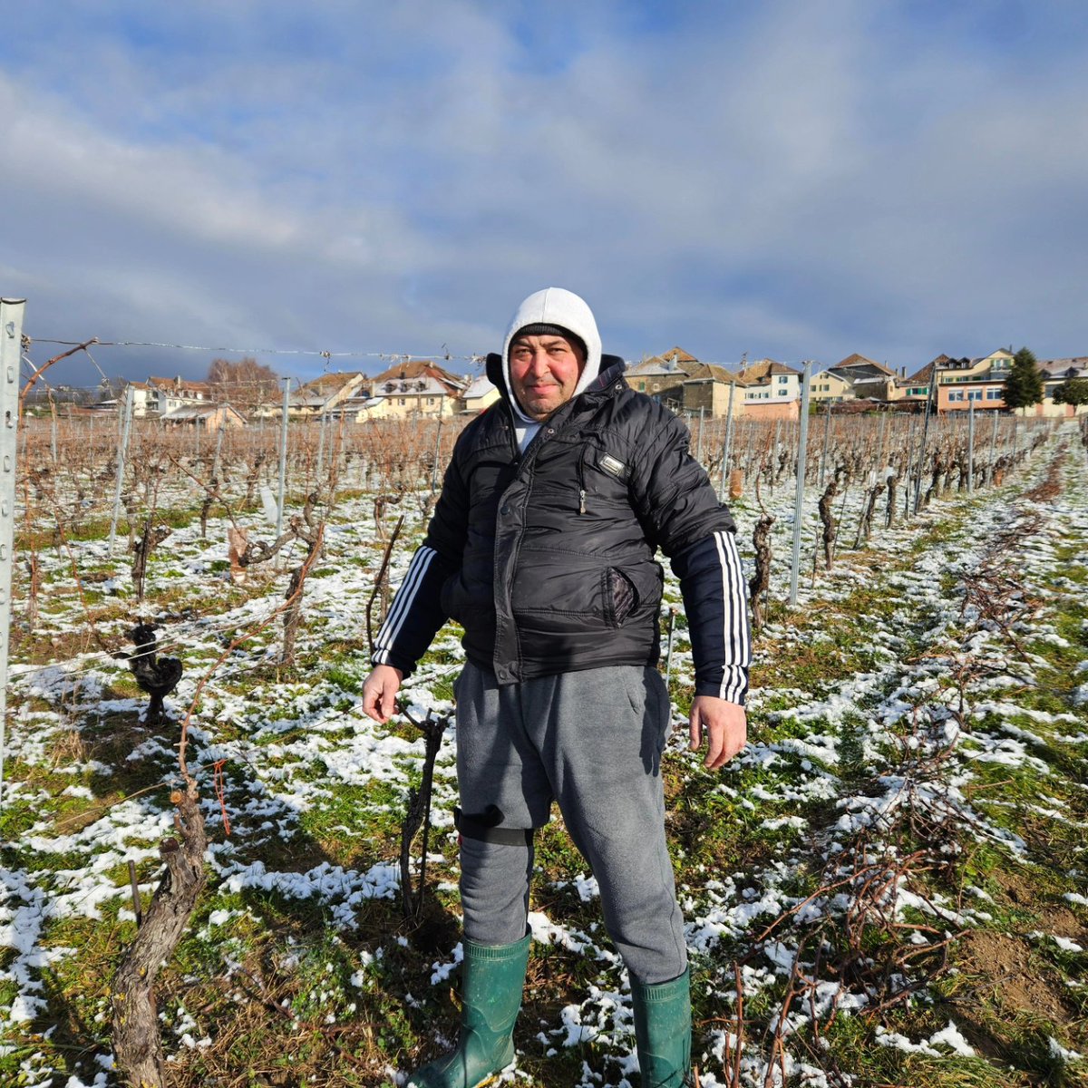 CaveJDC's tweet photo. 😉 Les vacances sont terminées... L'aventure commence ! 💃 Aujourd'hui, nous lançons la saison de la taille ✂️ des vignes.🍇 Préparons-nous pour une année riche en saveurs 😋 et en découvertes ! 🤗

#cavejeandanielcoeytaux #JDC #taille #vigne #vigneronindependant #swisswine https://t.co/DETL4lZxU1