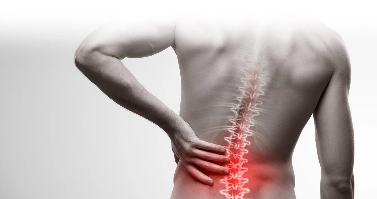 The 5 best exercises proven to relieve back pain and unf*ck your posture (if you sit more than 6 hours per day, start doing these NOW):
