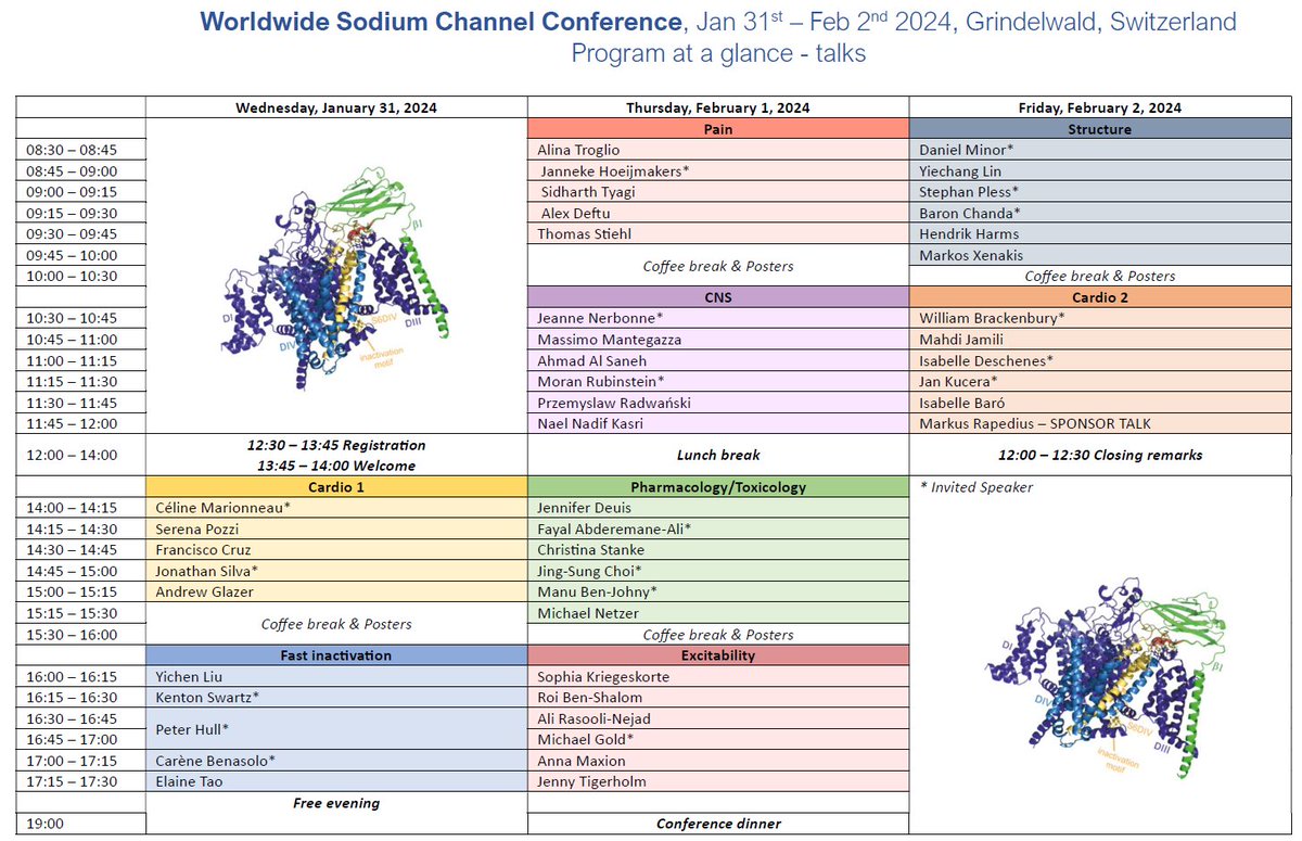 SwissIonChannel's tweet image. Very soon, we will start the first and unique Worldwide Sodium Channel Conference in the Alps #Grindelwald #Switzerland. The final program is out sodiumchannelseminars.org/Sodium-Channel…
Want to know how much snow we have? Here is the webcam: jungfrau.ch/fr-ch/live/web…
#IonChannels #SodiumChannels