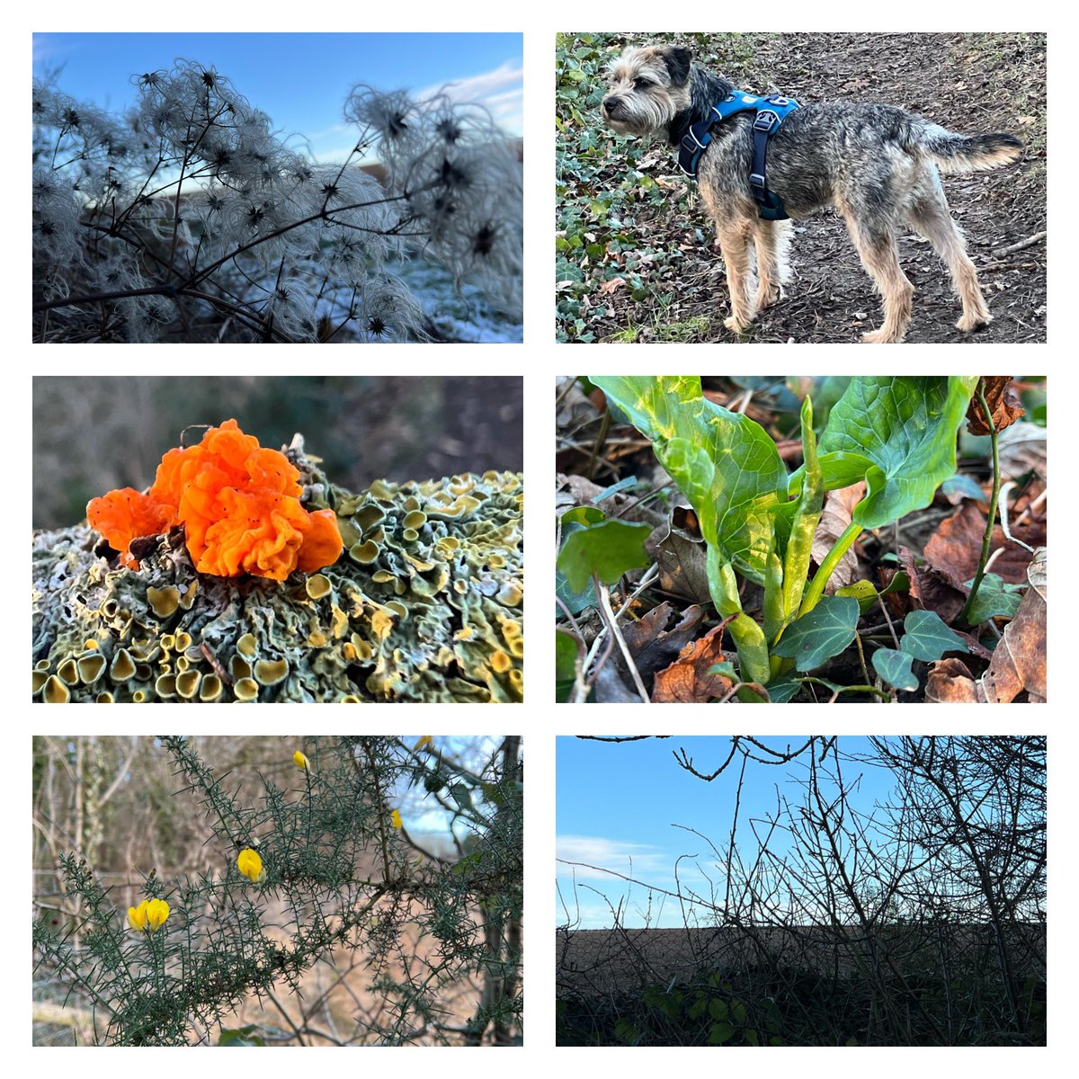 jolivsey's tweet photo. Today’s #WalkAfterWork https://t.co/zjHqWsEEh7
