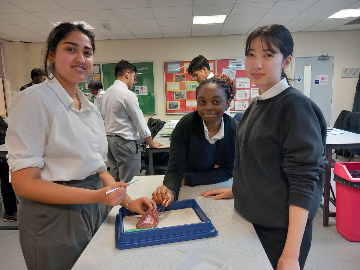 Y13s were dissecting kidneys this week, as part of their lessons on osmoregulation...<a href="/DGSSciCollege/">DGS Science College</a> <a href="/DrCourtDGS/">Dr Court</a>