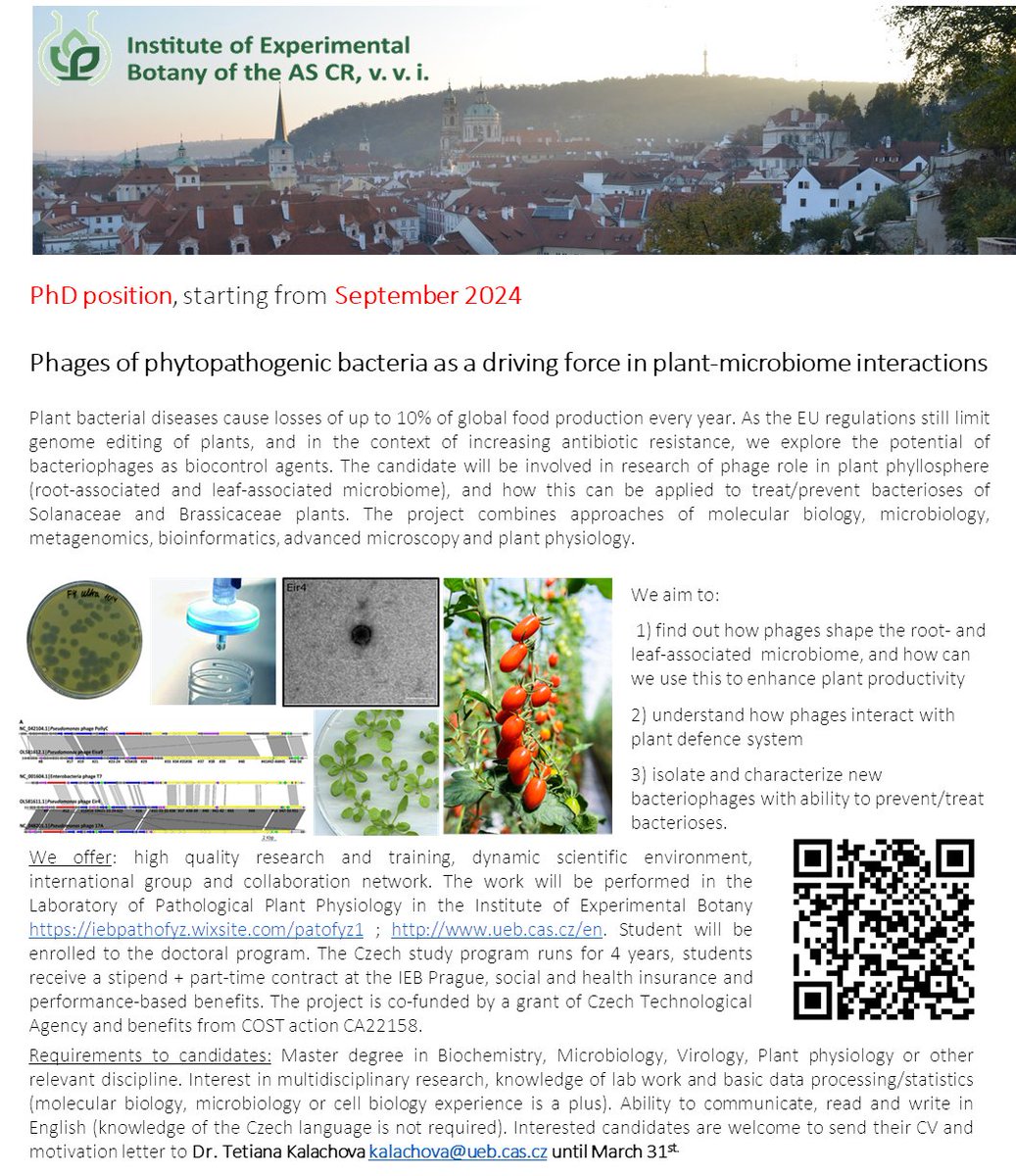 If you like #phages #phytopathology #greenagriculture and cherry tomatoes - join us! 🍅🧬 🧫 🧪 🪴🌍
'Plant+bacteria+bacteriophages+X=?' - funded PhD (start September 2024). 
details here: iebpathofyz.wixsite.com/patofyz1/nabdk… 
- please RT #newPI @UEBavcr