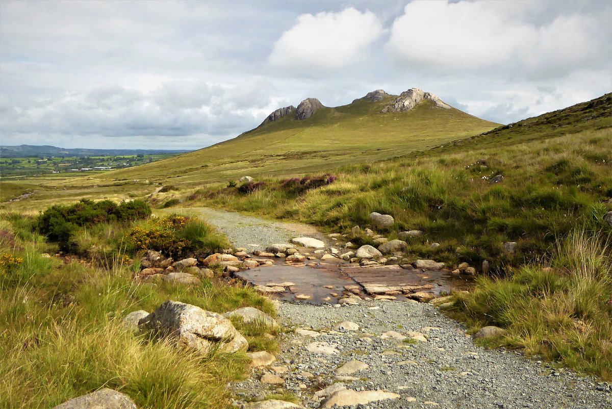 Derek Flack tweet media