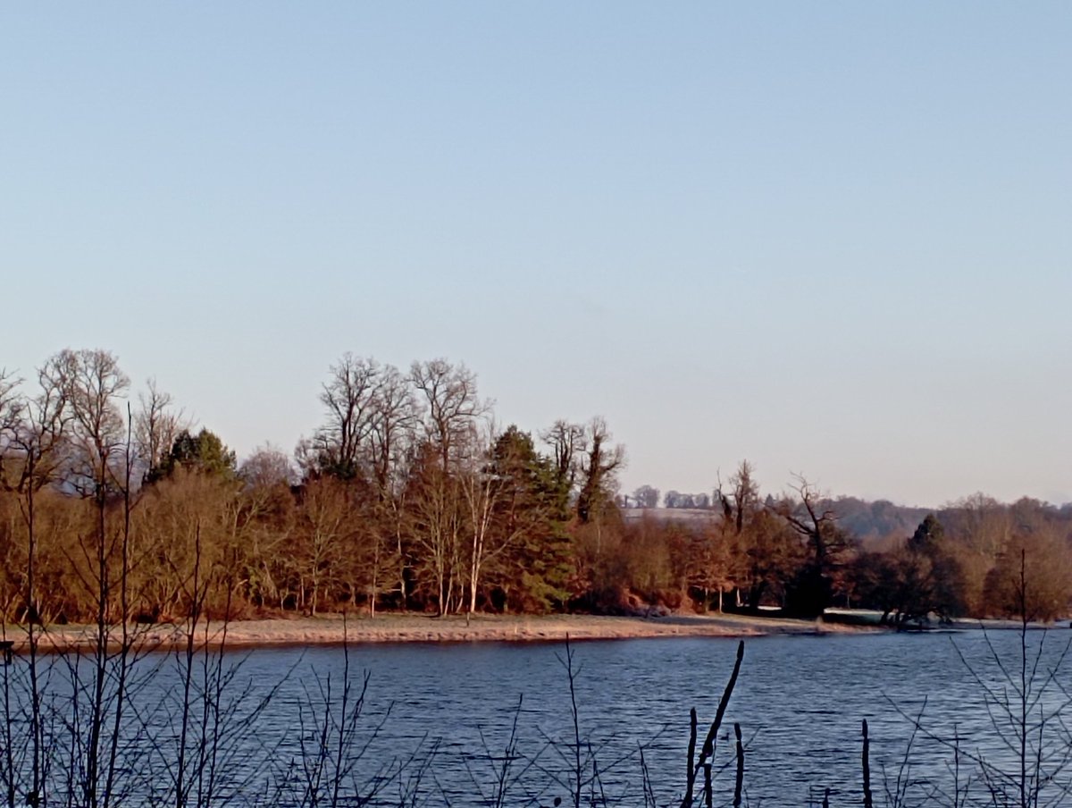 ADel875's tweet photo. #CouleursDuMatin
#CaCaille
Étang de Cieux https://t.co/SaYM4fBRXa
