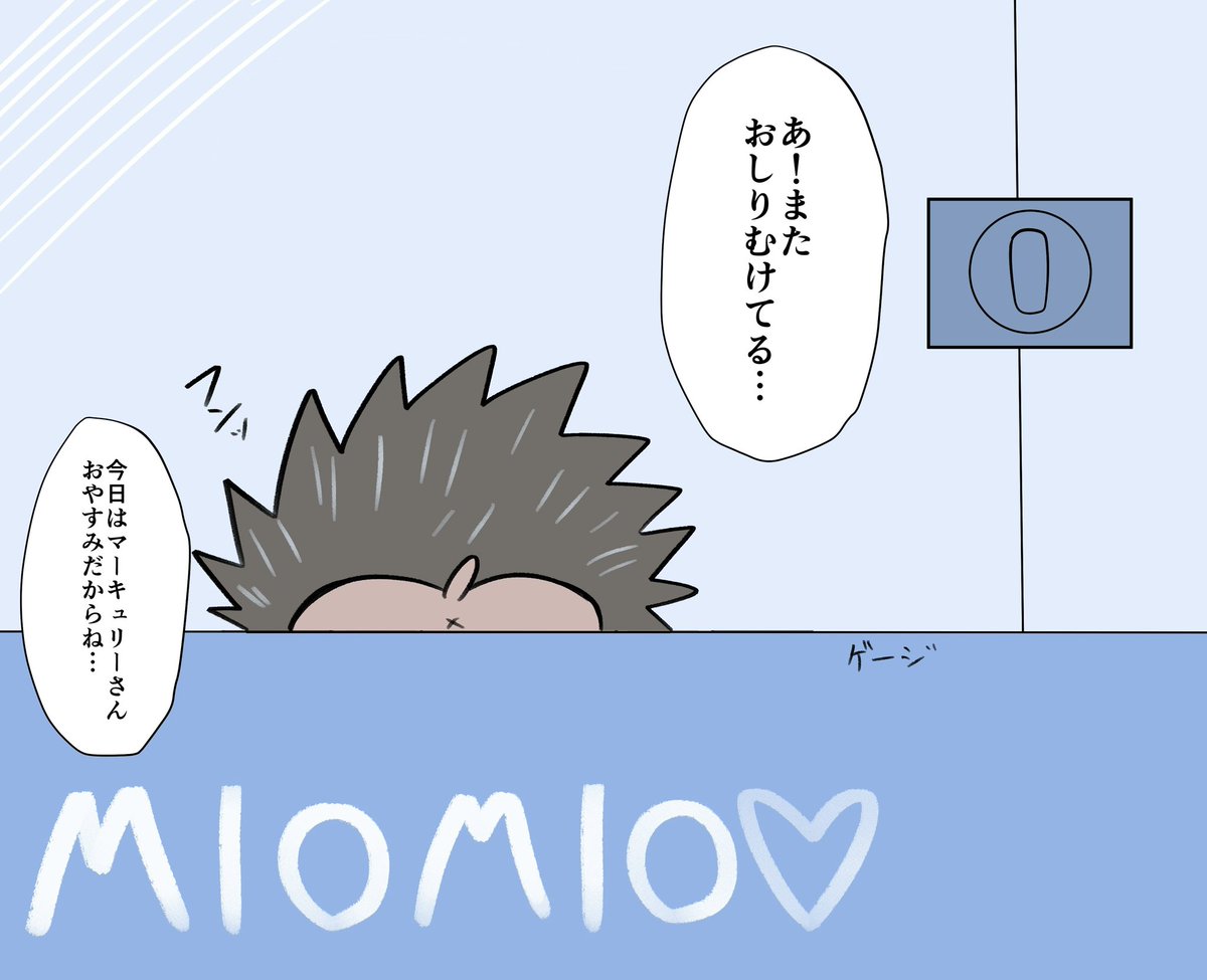 レンブランハリネズミは1人の飼育員にだけなつく🦔