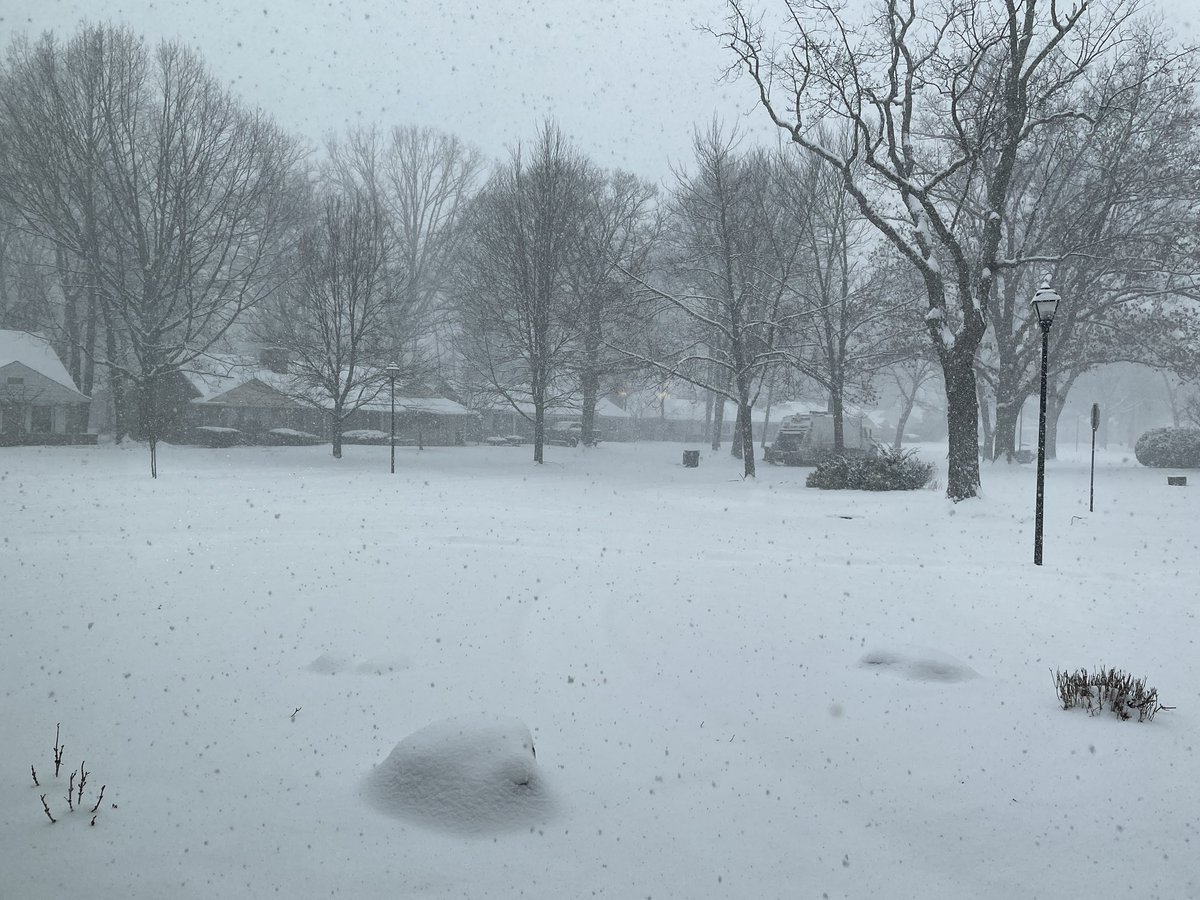 Matthew Johnson tweet media