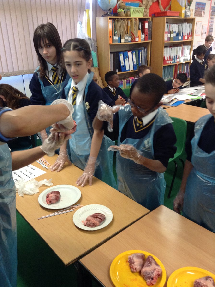 Year 6 OLOL tweet media