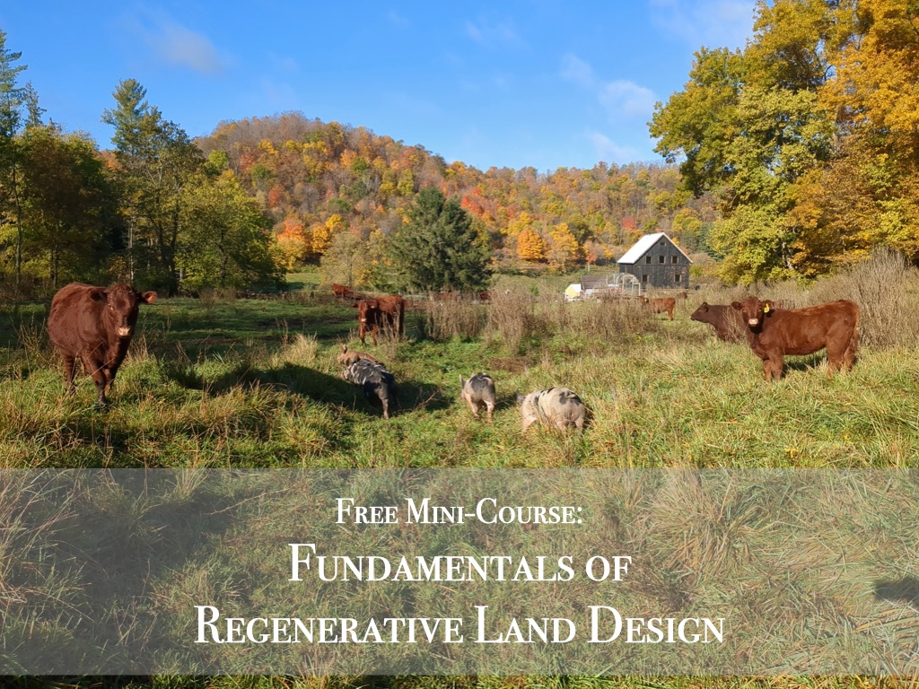 pclarkallen's tweet image. Turn your farm or homestead into a productive and regenerative agro-ecosystem. In this mini-course, I'll walk you through the 4 step process I've developed over the last decade helping students and clients create their own slice of paradise. mastodonvalleyfarmschool.com/4-steps-for-de…