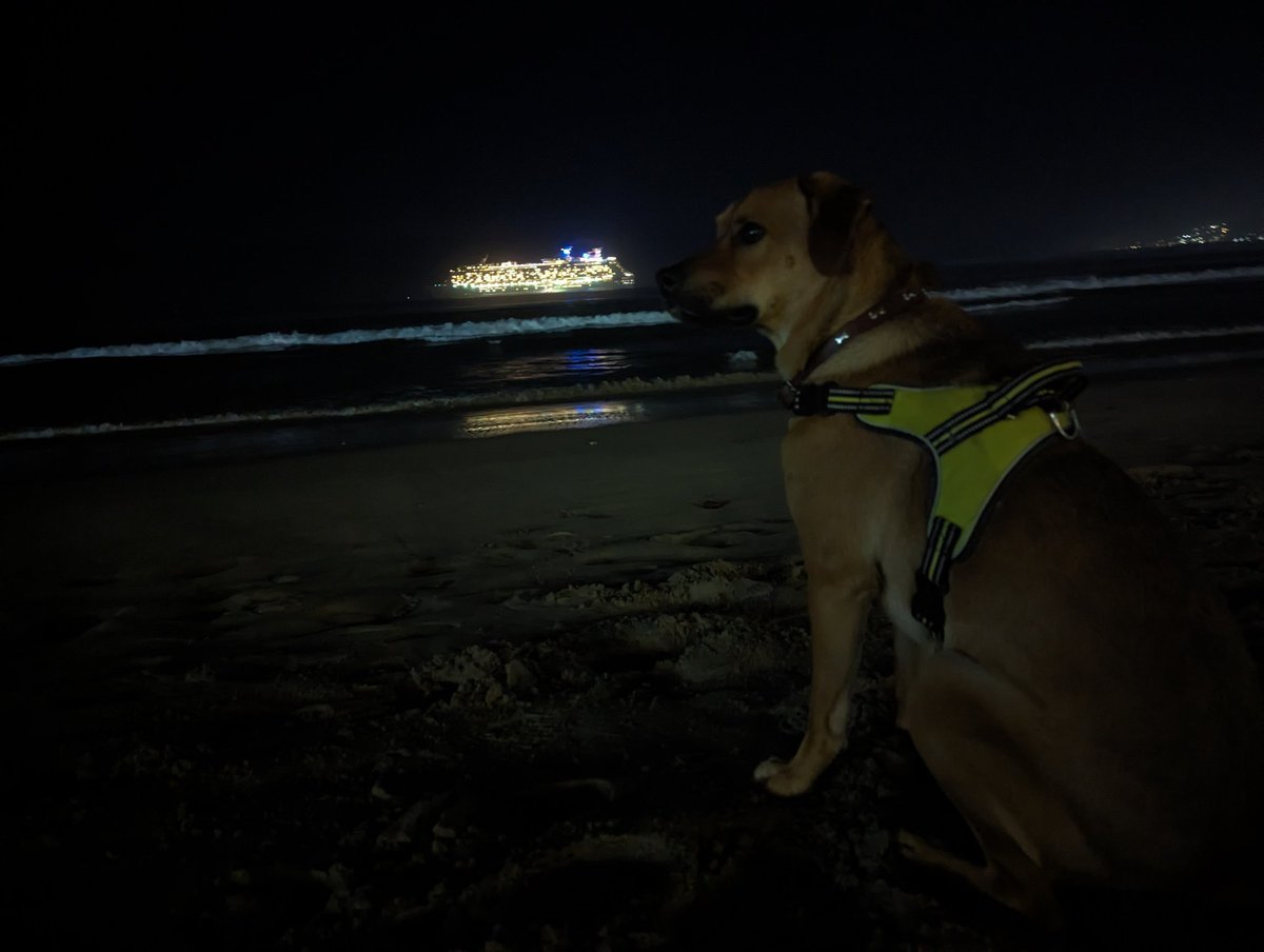 ArtierMX's tweet photo. Le encanta sentarse a ver cuando se van los cruceros. https://t.co/09jOLVvSkI