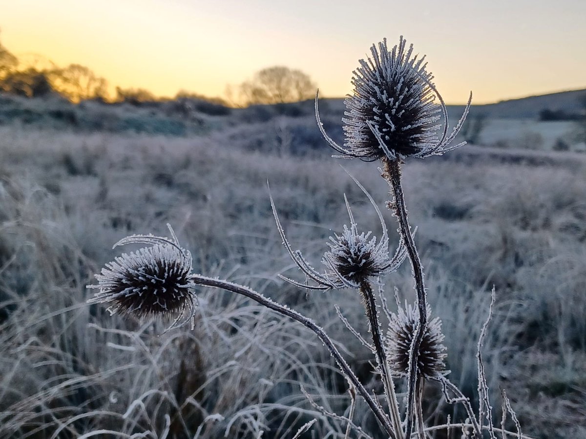 Thank you #Winterwatch for an amazing journey through our wonderful winter wildlife ❄️ See you in the spring for @BBCSpringwatch