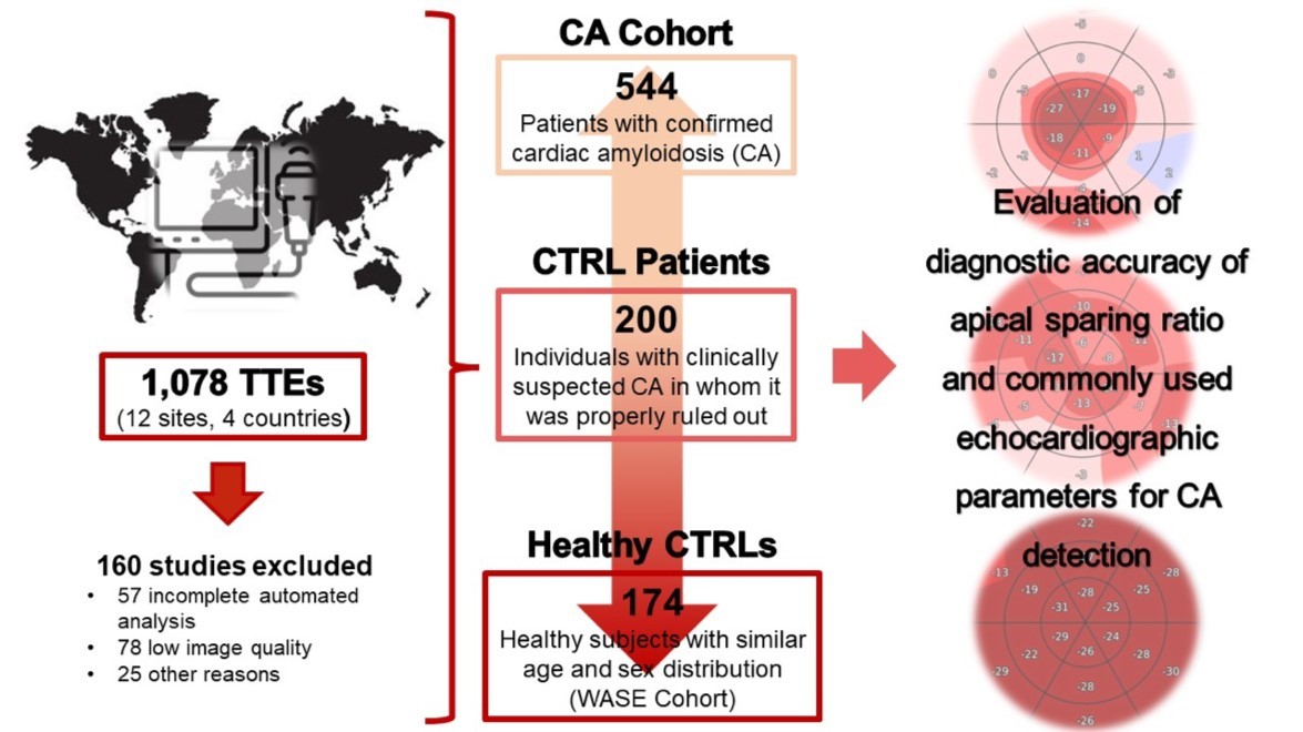 Is apical sparing on echo sufficient for the diagnosis of cardiac amyloidosis? In this multicenter study, we identified 544 patients with CA and 200 controls (suspicion for CA but ruled out for CA), as well as 174 healthy subjects. Led by @JSlivnickMD academic.oup.com/ehjcimaging/ad…