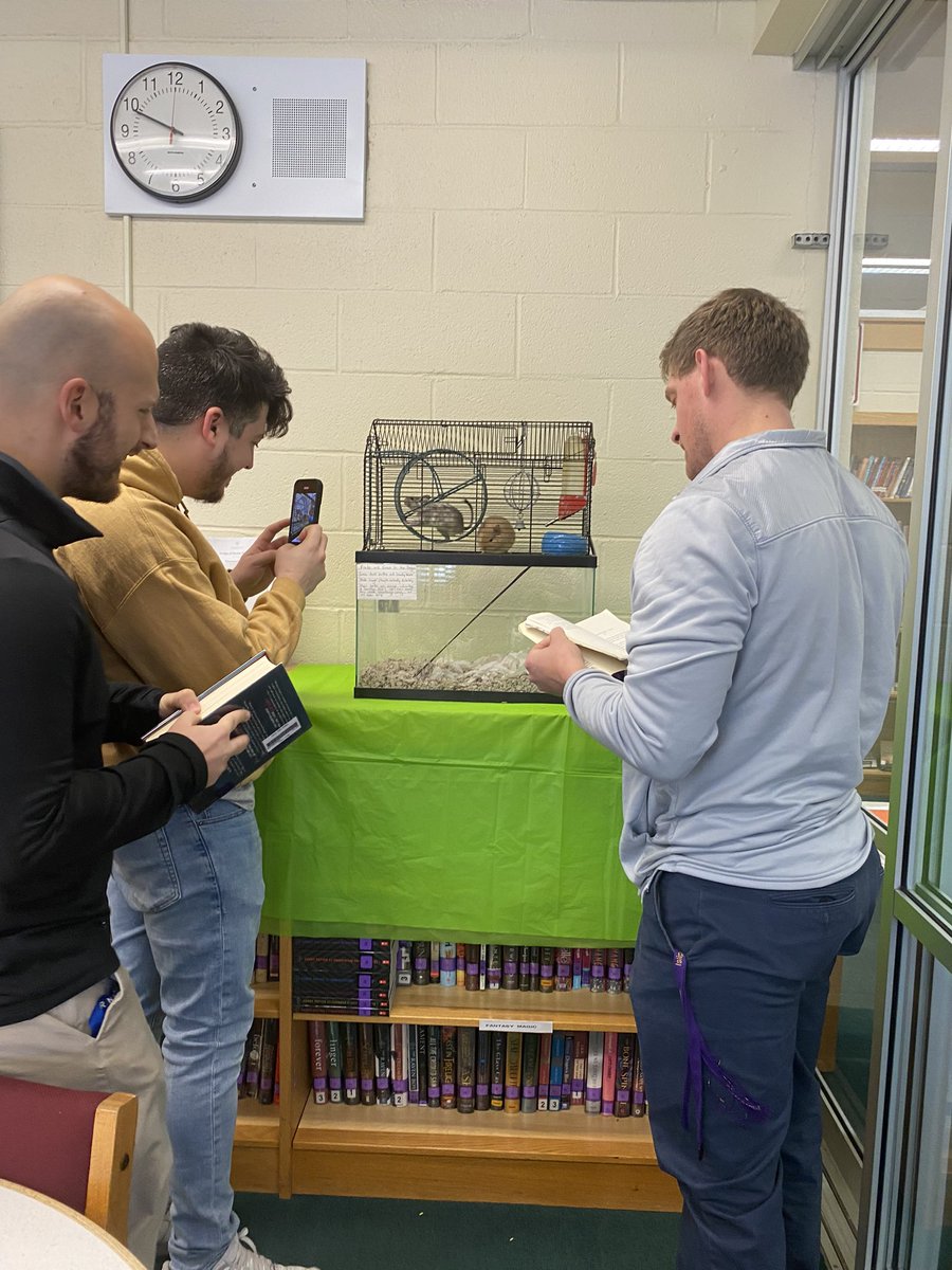 Gina Seymour tweet media