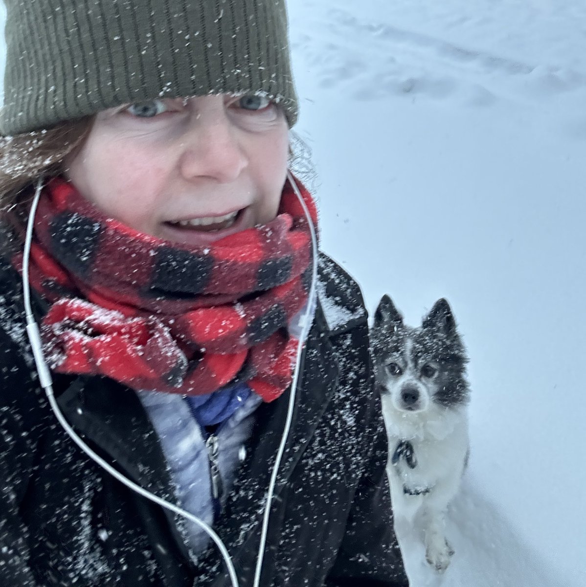lisaontheradio's tweet photo. No snow in #DC for two years, and now two storms in the same week! #winterindc #snowdog #DogsOfX #MoCoMD #snow #dogs @BIG100Radio https://t.co/TDLJKKFhke