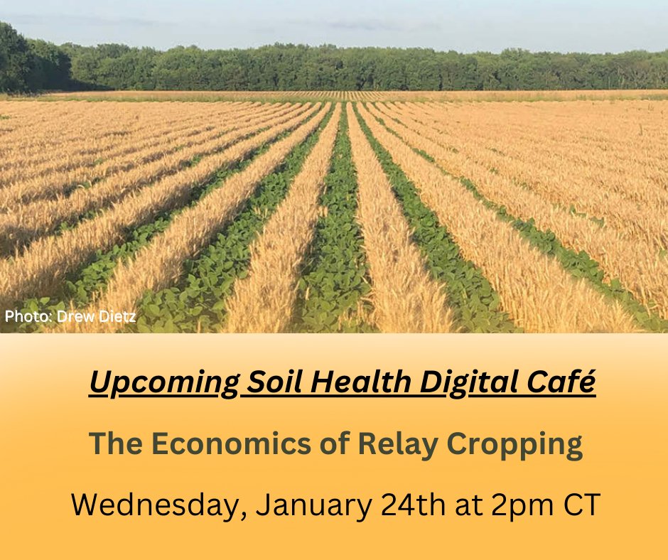NCRWN (@northcentralh2o) on Twitter photo Reminder! Join the next Soil Health Digital Cafe webinar. Ross Evelsizer, Natural Resources Project Director for <a href="/NEIARCD/">Northeast Iowa RC&D</a>, will be discussing the <a href="/MultiIowa/">Multi-cropping Iowa</a> project focused on bringing value to diverse crop production.
Register:msu.zoom.us/meeting/regist… Reminder! Join the next Soil Health Digital Cafe webinar. Ross Evelsizer, Natural Resources Project Director for <a href="/NEIARCD/">Northeast Iowa RC&D</a>, will be discussing the <a href="/MultiIowa/">Multi-cropping Iowa</a> project focused on bringing value to diverse crop production.
Register:msu.zoom.us/meeting/regist…