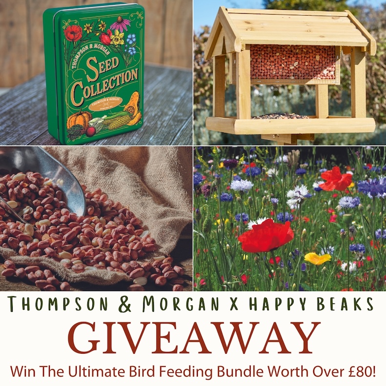 Win the ultimate bird feeding bundle! In collaboration with <a href="/ThompsonMorgan/">Thompson & Morgan</a>, you could win: 

🐦A high quality bird table
🐦‍⬛2 bags of bird feed
🌱A vintage seed collection tin
🌸A bundle of bird-friendly flower seeds to sow

Enter: bit.ly/3U6NNft

Closes 29/01.