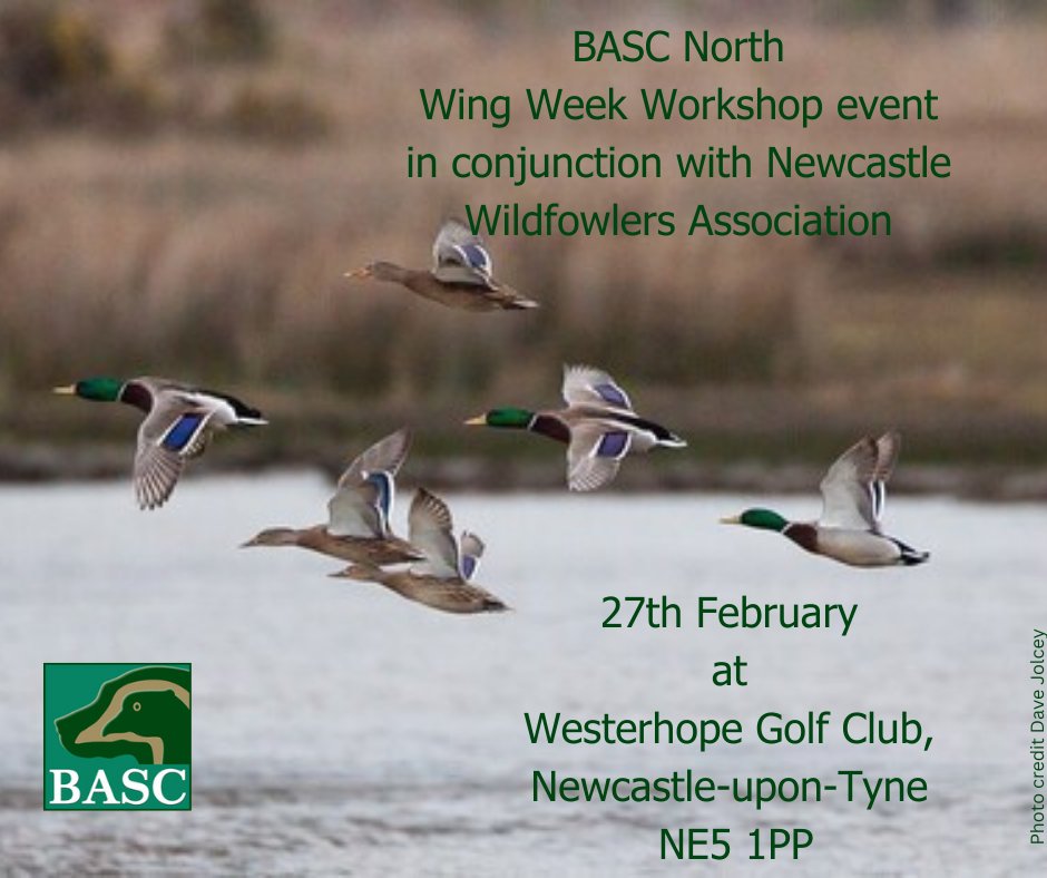 As part of BASC’s Wing Week we are running a wildfowling workshop with Newcastle Wildfowlers Association, 27 February at Westerhope Golf Club, Newcastle-upon-Tyne, NE5 1PP Open to BASC members and Non-Members. For information and to book a place visit orlo.uk/qbAeB