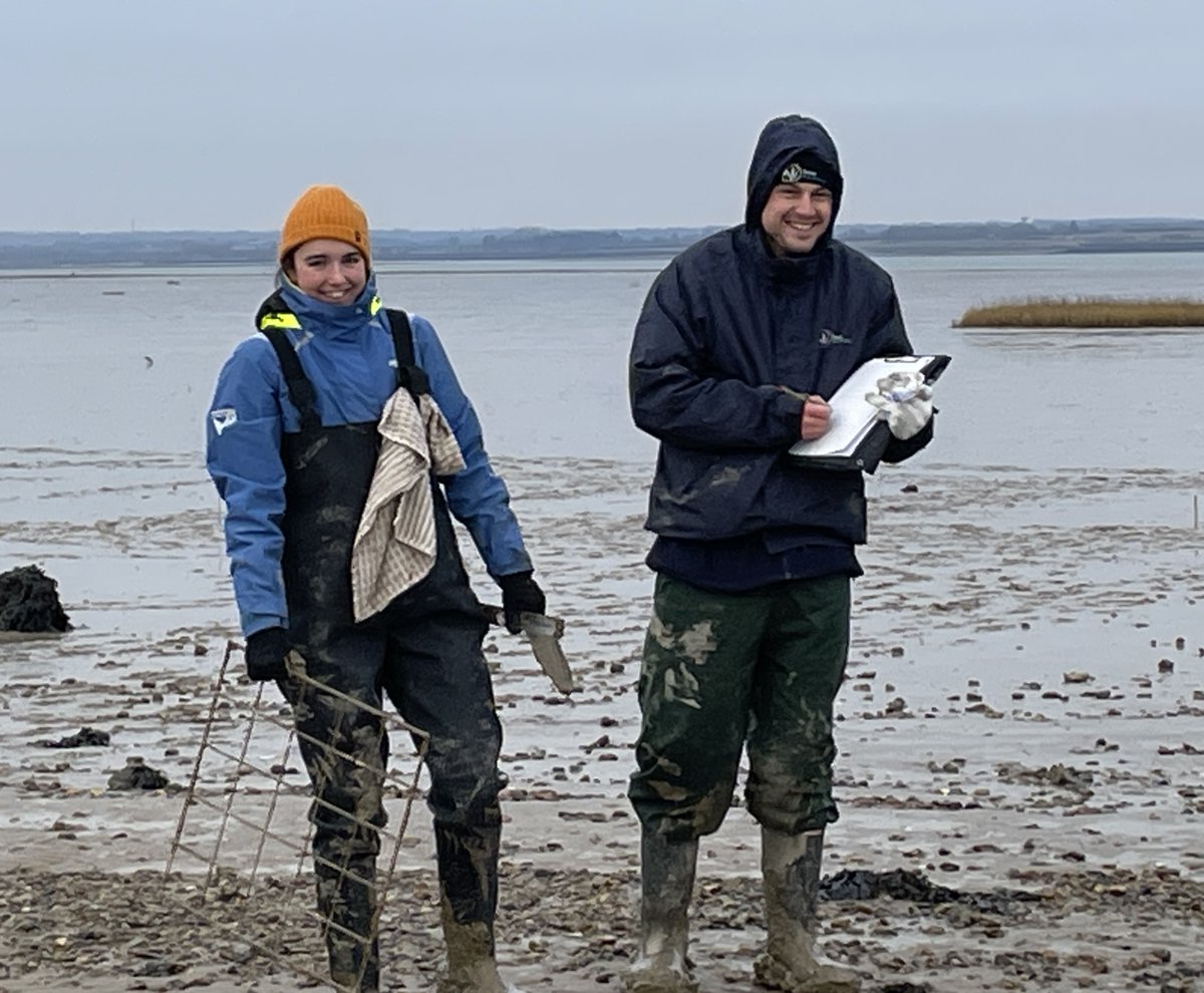 We have been out in the Blackwater Estuary in #Essex with @ProjectSeagrass, and @EssexWildlife to test seagrass monitoring and restoration techniques.

The team are trying to feel as energetic in the cold, as the flocks of over-wintering birds! 

@BirdAwareEssex @EULIFERemedies