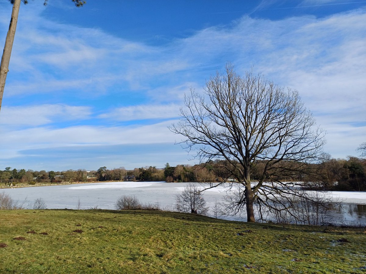 kendie's tweet photo. Plenty of blue sky though. #trenthamgardens #fantasywire #fantasywirefairies #trenthamestate #wintersunshine https://t.co/nGmZZ0YZgQ