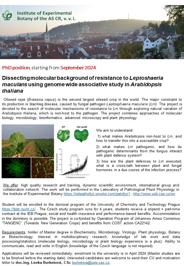 TKalachova's tweet photo. We are hiring (offer #1)  - plant-fungal interactions:
 funded PhD position (starting September 2024)
If you are passionate about #fungi, #plantdefences, microscopy, model and non-model #Brassicaceae - join us! more info here: 
https://t.co/vc46TZOVEH 
@UEBavcr  - Please RT https://t.co/8OYvIF5ivk