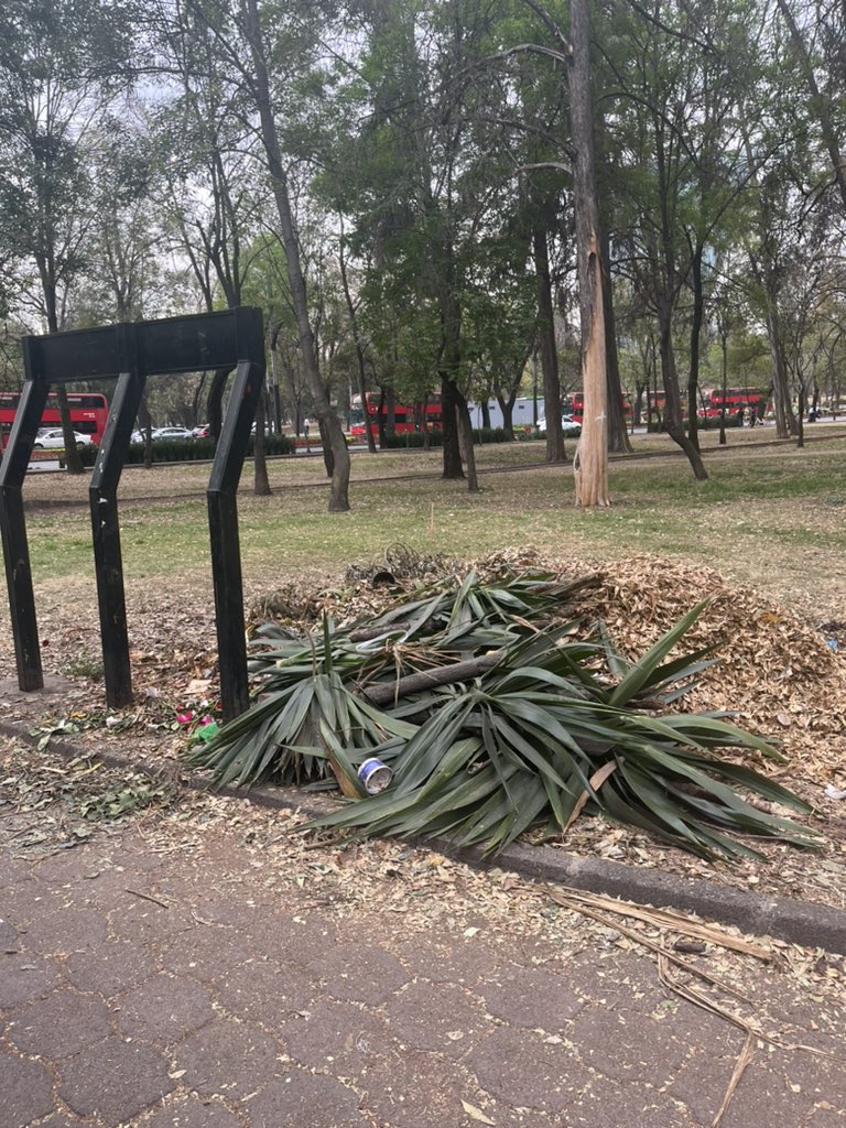 eloinadeharo's tweet photo. @SEDEMA_CDMX el Jardin del Libano @GobCDMX , la entrada a Polanco @AlcaldiaMHmx  es un basurero https://t.co/wCx2Cz75U1