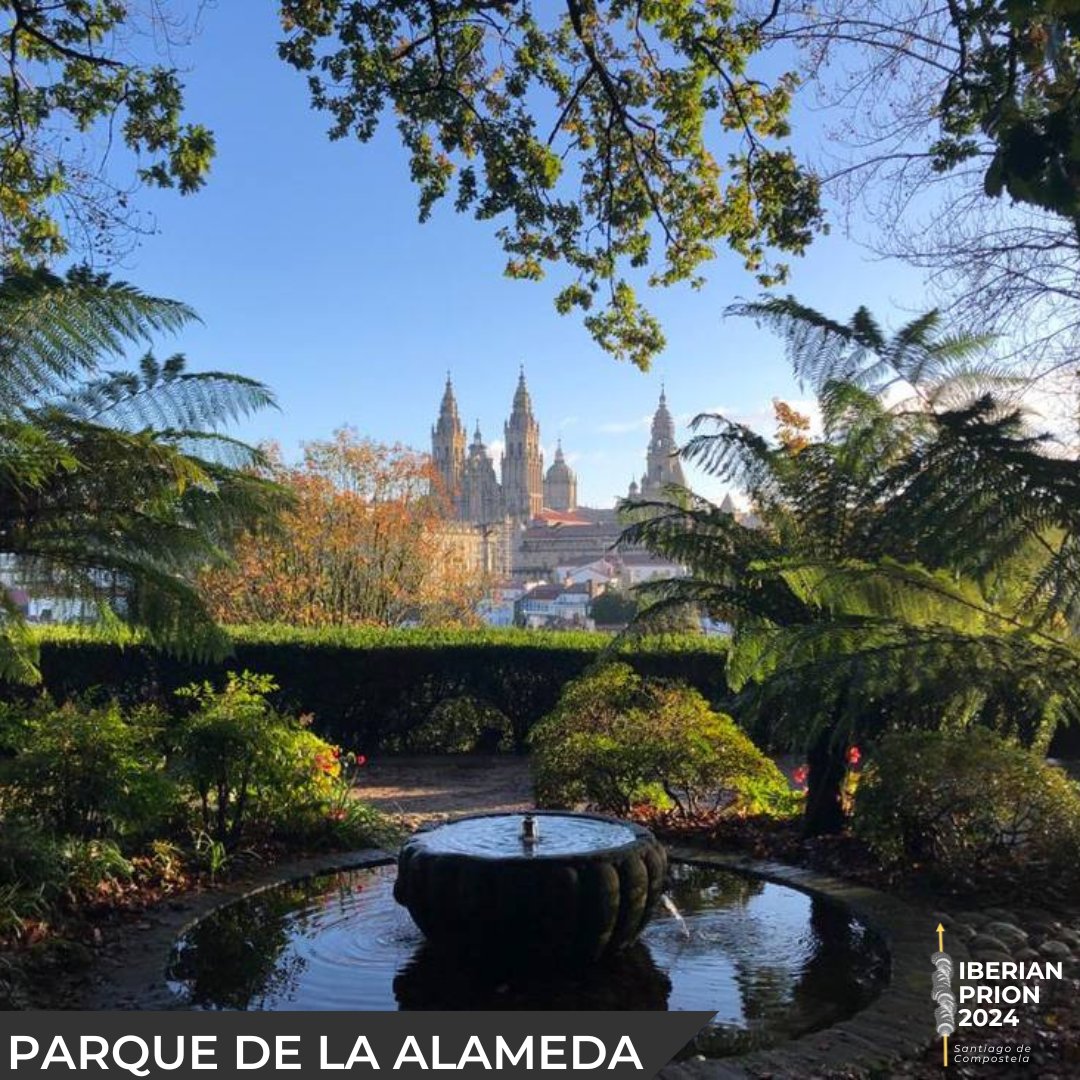 Iberian Prion Conference 2024 tweet media
