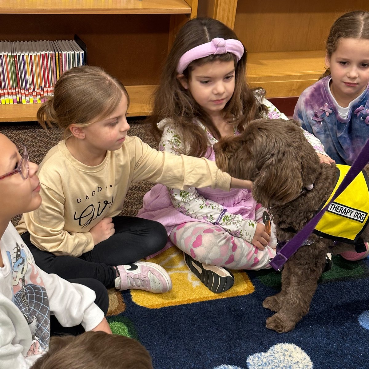 Port Byron CSD tweet media