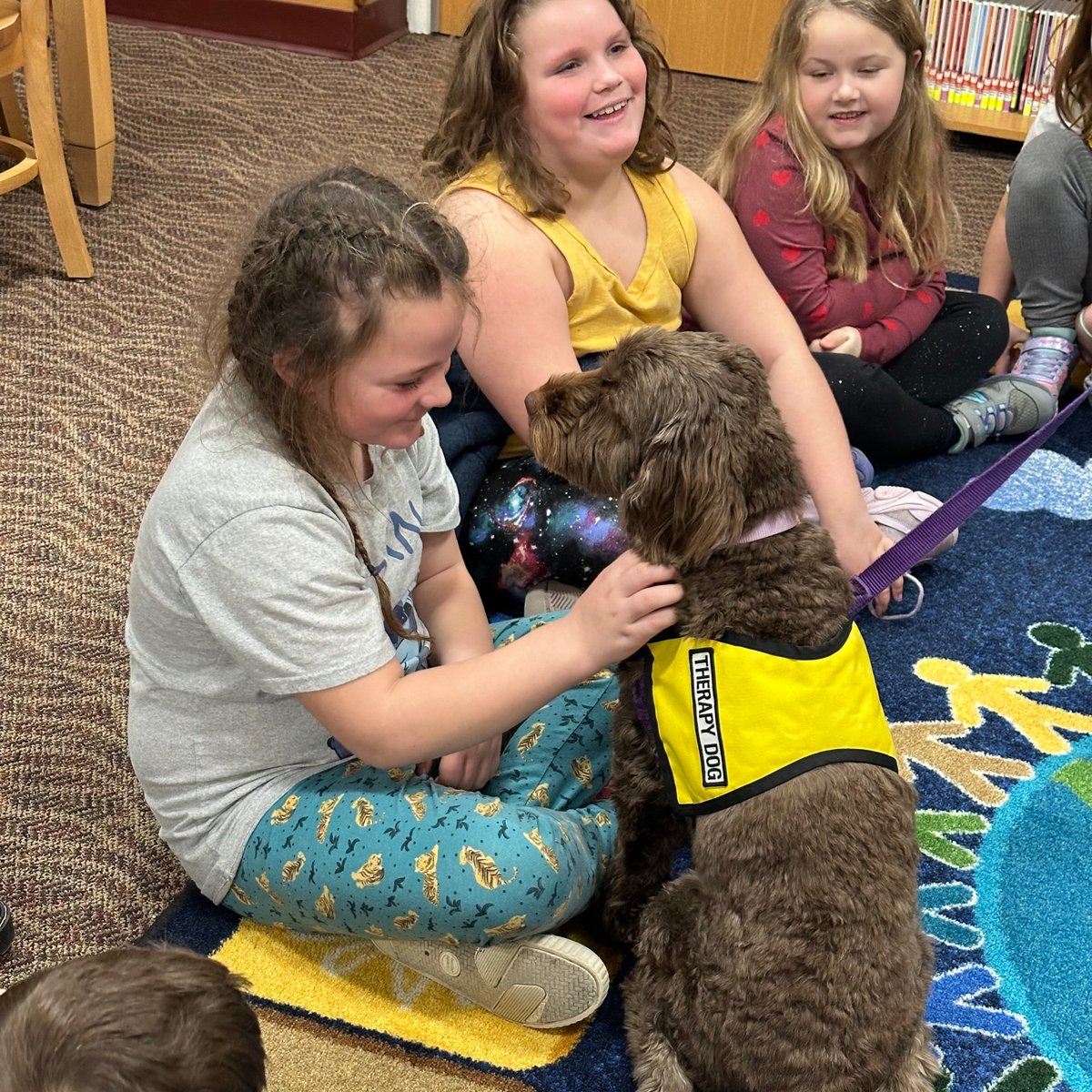 Port Byron CSD tweet media