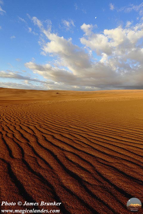 jamesbrunker's tweet image. Sand and skies that go on for ever in the #Atacama Desert in #Chile, available as #prints and on gifts here: james-brunker.pixels.com/featured/sand-…
#AYearForArt #BuyIntoArt #landscapes #deserts #ripples #patterns #skyscape #desolation #wilderness #MarcaChile #TurismoEnChile @postalesdechile