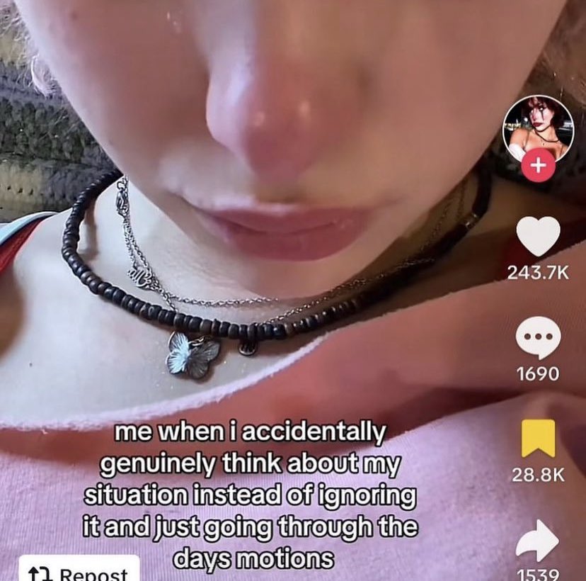 northstardoll's tweet image. 