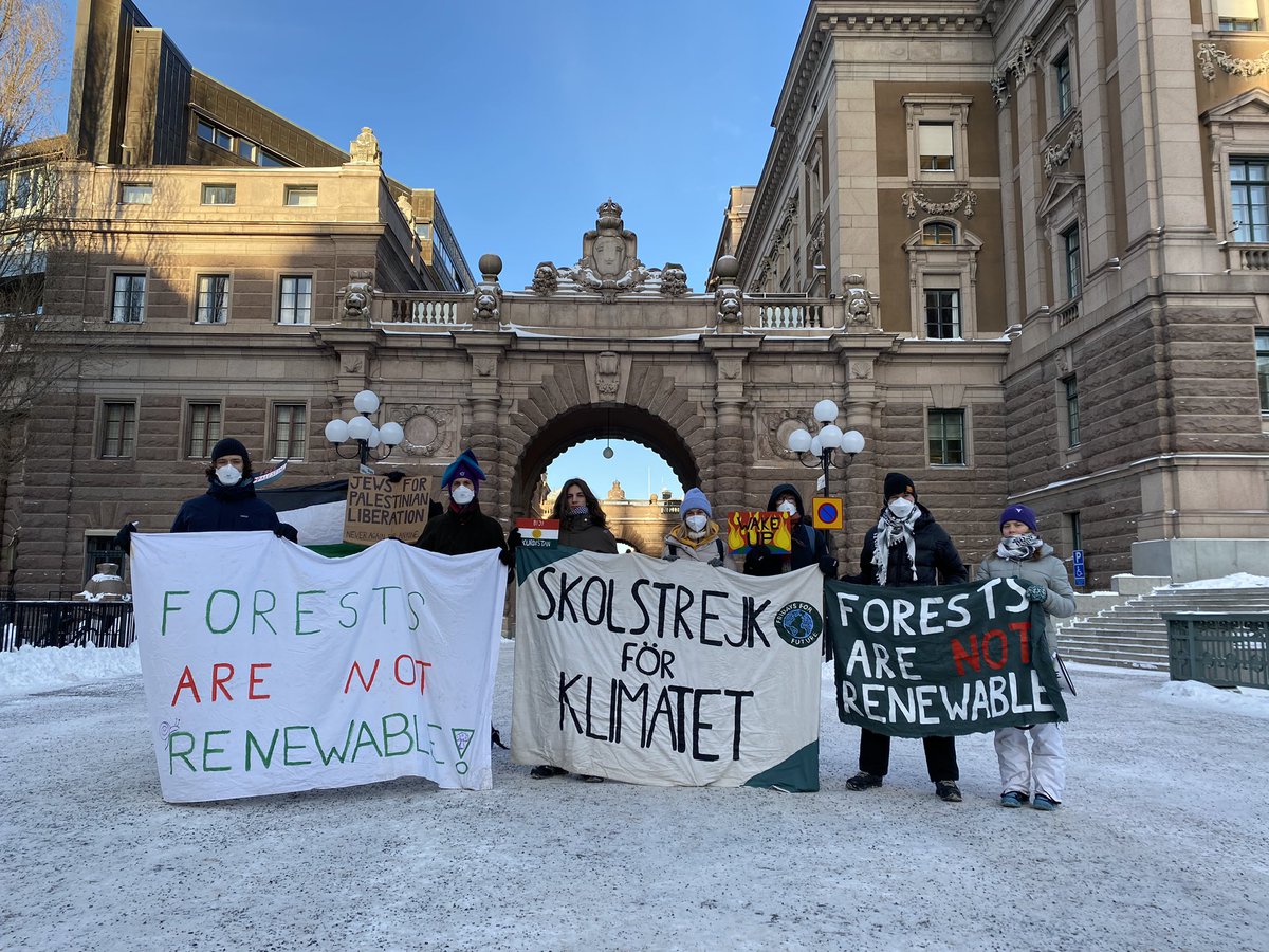 GretaThunberg's tweet image. Climate strike week 283. #FridaysForFuture #ForestsAreNotRenewable #ClimateStrike #ProtectTheForest #StopExpansionStartRestoration #RestoreNature