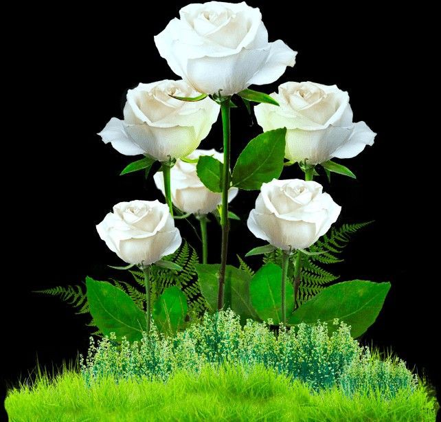 Aαɾα น'Şคfຊคi (@_1gul) on Twitter photo #A_P_G⭐️#R_P_G اسپشل
<a href="/_1gul/">🦋⃟ 𝕬𝖆𝖗𝖆 𝖄𝖔𝖚𝖘𝖆𝖋𝖟𝖆𝖎࿐★</a> <a href="/1GPTI/">Misbah</a>
<a href="/1Hqim/">Crypto 100x Gems</a> <a href="/Qs3488/">Qamar Shahzad🦅</a>
<a href="/5kshf/">syed kashif</a> <a href="/1_rjpt/">RAJPOOT 👑</a>
<a href="/xshruh/">شاہ رخ خان 💚❤</a> <a href="/luc_fam/">LUCAS.</a>
@Ms_Haider1
<a href="/asad__78/">💞دآلَيـ❤ـآ مـ❤ـحـ❤ـمـ❤ـد</a>
@Ozlerntr
<a href="/SiirSL_1/">💦SiirSL_1💦</a>
<a href="/78kh6/">Kh_shehzada</a>
@FF_BB1_
<a href="/Aadi1B/">Aadi Butt</a>
<a href="/SR_Pti/">ᕙᕗ𝐑𝐚𝐬𝐡𝐢𝐝ᕙᕗ</a>
<a href="/rzfx__/">Fareed</a>
<a href="/TSC143_/">آفیسرز</a>
<a href="/6kshf/">Syed Kashif 2</a>
@zibo_g
<a href="/glmsjd/">𝑺𝒂𝒋𝒋𝒂𝒅 ✨</a>
@_Ma_hii
<a href="/nvd862/">بھٹی</a> @rf__sb
<a href="/MIG9T/">Khadija Saeed</a> <a href="/Yqbh_/">ᗰ YᗩᑫOOᗷ (Sellar)</a>
@Pk50K <a href="/MIG9T/">Khadija Saeed</a>
<a href="/Hfz672/">Hafeez❤🖤💚</a> <a href="/Arif1q/">✪𝐀ʀɪғ 𝐀ʟᴠɪ✪</a>
<a href="/bnte_/">بـٌـٌٌـٌٌٌـٌٌـٌنـِِـِـتـٌـٌٌـ۔</a> <a href="/1Aara_/">○° آراءخان°○</a> #A_P_G⭐️#R_P_G اسپشل
<a href="/_1gul/">🦋⃟ 𝕬𝖆𝖗𝖆 𝖄𝖔𝖚𝖘𝖆𝖋𝖟𝖆𝖎࿐★</a> <a href="/1GPTI/">Misbah</a>
<a href="/1Hqim/">Crypto 100x Gems</a> <a href="/Qs3488/">Qamar Shahzad🦅</a>
<a href="/5kshf/">syed kashif</a> <a href="/1_rjpt/">RAJPOOT 👑</a>
<a href="/xshruh/">شاہ رخ خان 💚❤</a> <a href="/luc_fam/">LUCAS.</a>
@Ms_Haider1
<a href="/asad__78/">💞دآلَيـ❤ـآ مـ❤ـحـ❤ـمـ❤ـد</a>
@Ozlerntr
<a href="/SiirSL_1/">💦SiirSL_1💦</a>
<a href="/78kh6/">Kh_shehzada</a>
@FF_BB1_
<a href="/Aadi1B/">Aadi Butt</a>
<a href="/SR_Pti/">ᕙᕗ𝐑𝐚𝐬𝐡𝐢𝐝ᕙᕗ</a>
<a href="/rzfx__/">Fareed</a>
<a href="/TSC143_/">آفیسرز</a>
<a href="/6kshf/">Syed Kashif 2</a>
@zibo_g
<a href="/glmsjd/">𝑺𝒂𝒋𝒋𝒂𝒅 ✨</a>
@_Ma_hii
<a href="/nvd862/">بھٹی</a> @rf__sb
<a href="/MIG9T/">Khadija Saeed</a> <a href="/Yqbh_/">ᗰ YᗩᑫOOᗷ (Sellar)</a>
@Pk50K <a href="/MIG9T/">Khadija Saeed</a>
<a href="/Hfz672/">Hafeez❤🖤💚</a> <a href="/Arif1q/">✪𝐀ʀɪғ 𝐀ʟᴠɪ✪</a>
<a href="/bnte_/">بـٌـٌٌـٌٌٌـٌٌـٌنـِِـِـتـٌـٌٌـ۔</a> <a href="/1Aara_/">○° آراءخان°○</a>