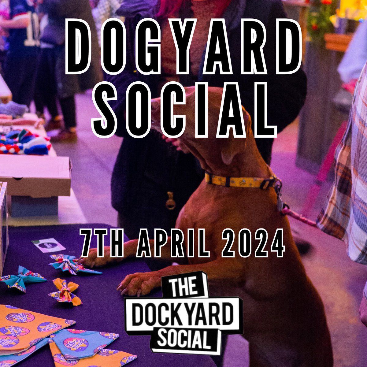Dogyard Social returns on Sunday 7th April and the team at @DockyardSocial welcome all dogs and owners alike to come and enjoy the market stalls specially aimed at bits and bobs for your furry friend! 𝗙𝗶𝗻𝗱 𝗼𝘂𝘁 𝗺𝗼𝗿𝗲: tinyurl.com/4u48dyrr