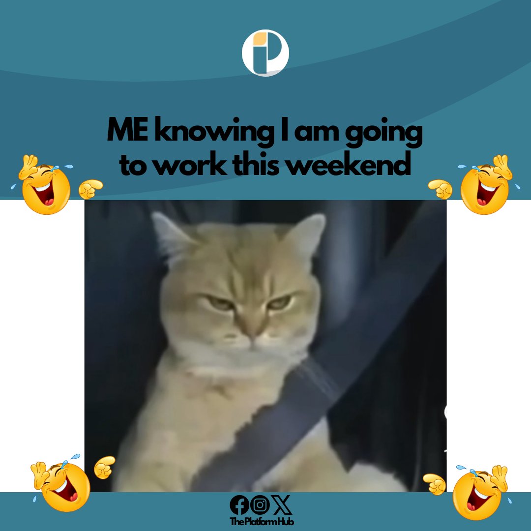 ThePlatformHub tweet picture