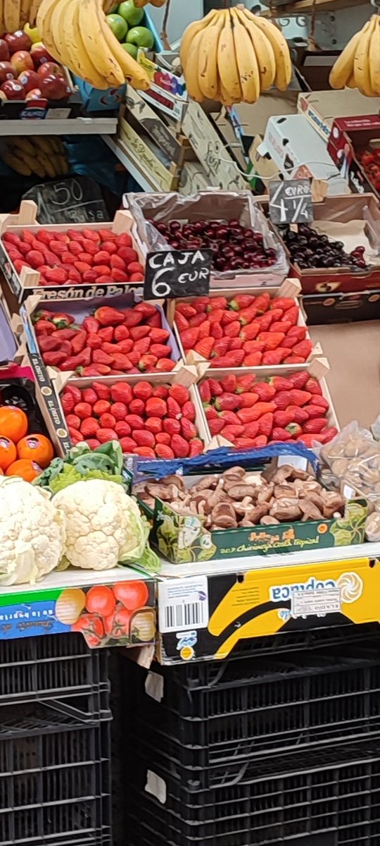 Dr Mark D. Lopez tweet media