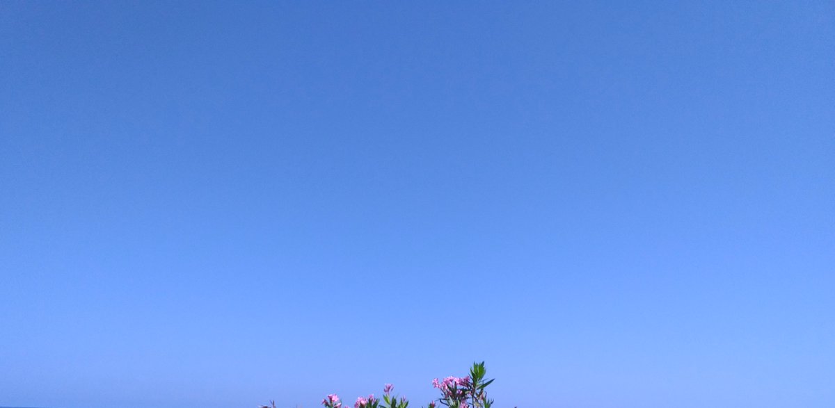 Dall’estremità del mio mignolo scorre un fiume. Il cielo è sette volte azzurro. Questa purezza è di nuovo la prima verità, il mio ultimo desiderio. 🖊️Yanni Ritsos 📸 by Lisa #NelSegnoDeiColori #SemprePiùBlu