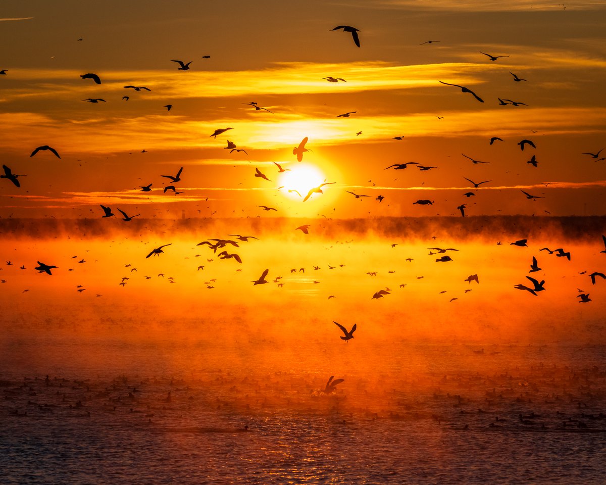 Happy Friday, Northeast Ohio! We can (almost) feel just how cold it must have been on Lake Erie in this gorgeous capture 🌬️☀️ Photo: gabe_leidyphoto on Instagram