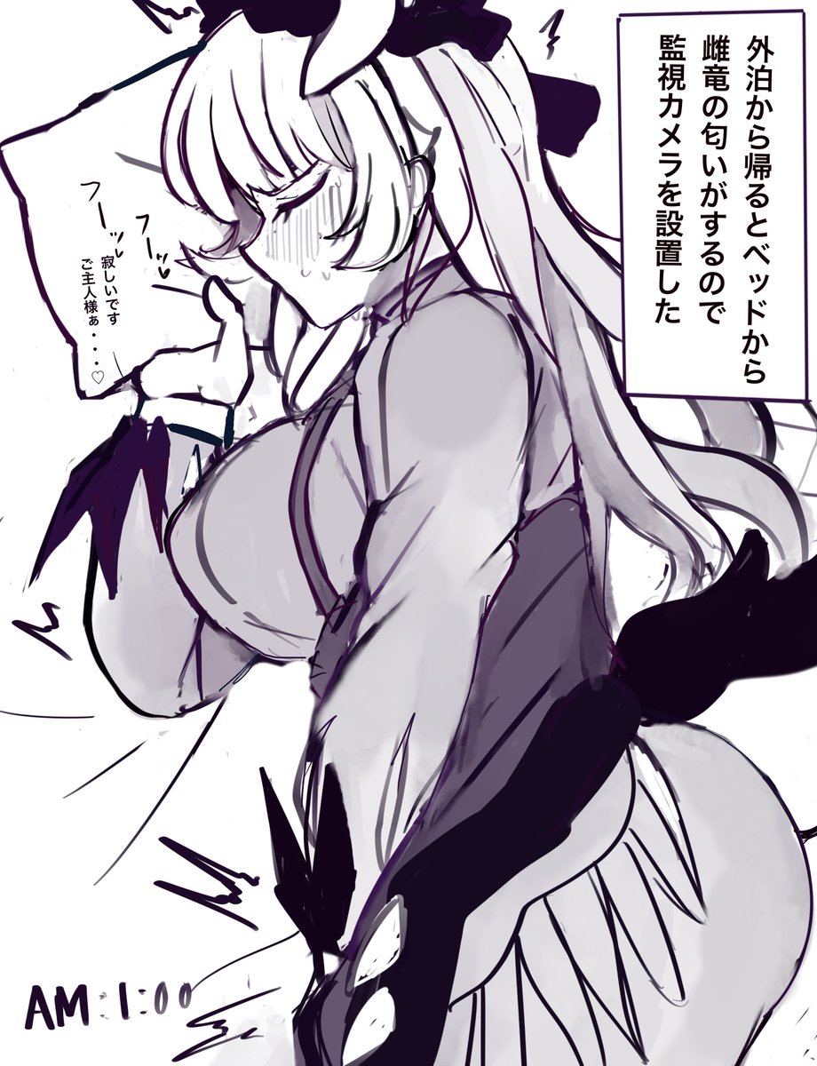 定点カメラで主人不在時のドラゴンメイドを観測したい 