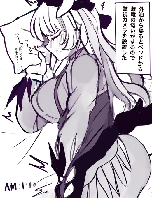 定点カメラで主人不在時のドラゴンメイドを観測したい 