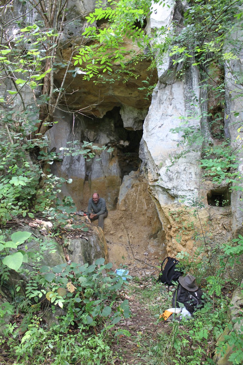 lumilicious's tweet image. Pollen analysis played a crucial role in understanding the changing environments that caused such a problem for Gigantopithecus blacki in southern China - massive thanks to @thatpollenguy pictured here sitting outside one of the youngest G. blacki caves - Shuangtan @MQSciEng