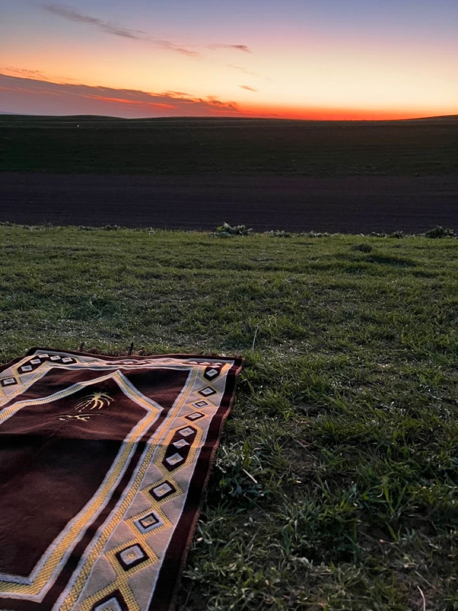 "وَلَن تَجِدَ مِن دُونِهِۦ مُلۡتَحَدࣰا"
الكَهف- ٢٧.

المُلتَحد: الملجَأ.