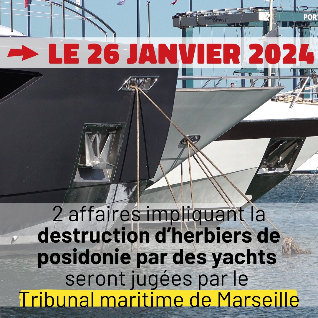 FneAzur's tweet photo. [JURIDIQUE ⚖️] Le 26/01, dans 1 semaine, deux audiences se tiendront au Tribunal maritime de #Marseille concernant des affaires mouillages illégaux de yachts ayant détruit des herbiers de posidonie.
On vous invite à suivre de près ces affaires ⤵️ https://t.co/c87gbVoIlT