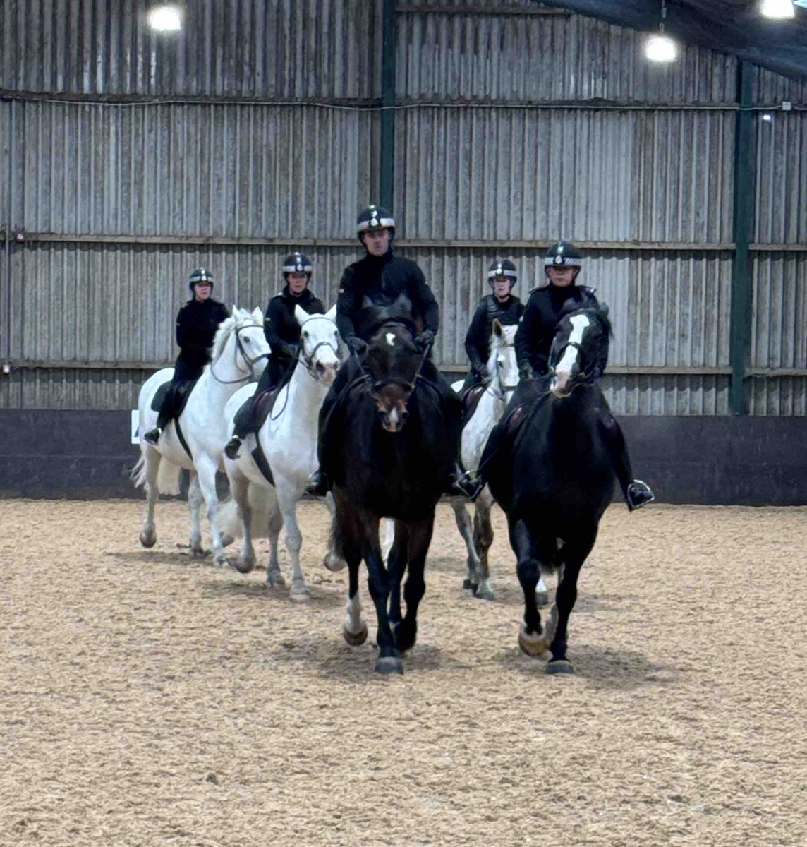 Our officers & horses were busy this morning at their annual refresher training. Ongoing training is vital to our work in order that we can assist colleagues & partners across Scotland 🐴 🐴 #KeepingPeopleSafe #PoliceHorseTraining