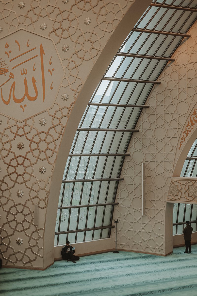 o nível da renda na associação é avaliada no dia
os membros VIP3 podem obter 60 pedidos com um comissão de 0,20% no mesmo dia e uma renda diária de 55-60reais;
Membros VIP4 podem ganhar 60 no mesmo dia. A comissão única é de 0,23% e a renda diária é de 125-327 reais;