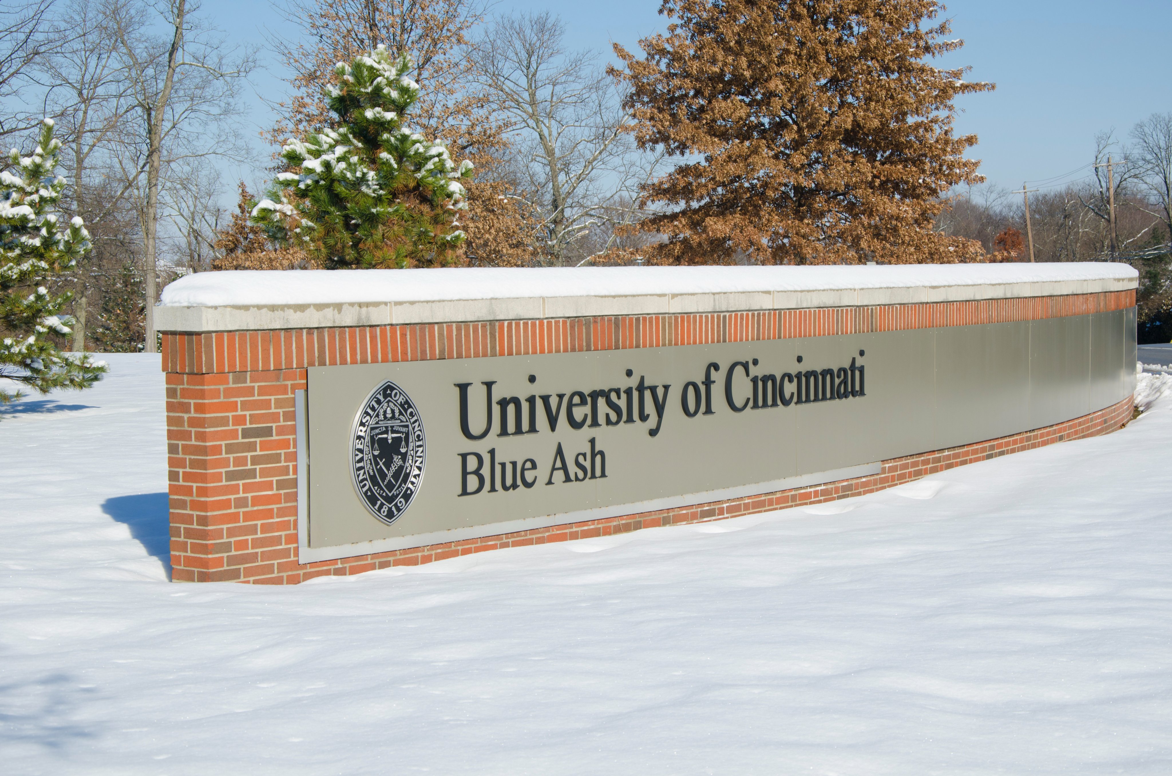 University Of Cincinnati Summer Classes 2025 Winter Viv Lilith