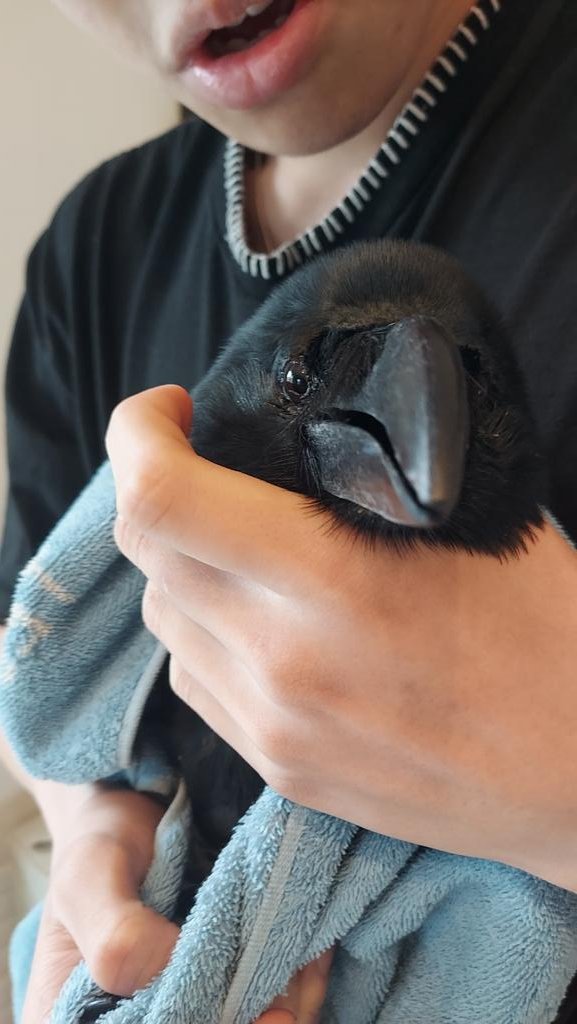 GPtao221's tweet image. 今回の練習は2回だけの試合を想定した練習です中々コレ⬇️難しい💦 #今日のきなこ