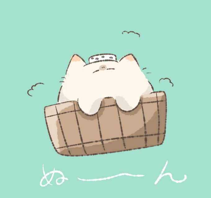 「サイン 白い猫」のTwitter画像/イラスト(新着)