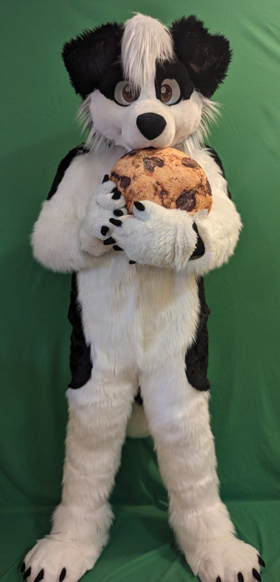 Heading to Anthro New England (ANE) 2024 with my amazing roommate <a href="/SmallCollie/">Jethro Collie</a>

see you there!
#Fursuit #FursuitFriday #ANE2024