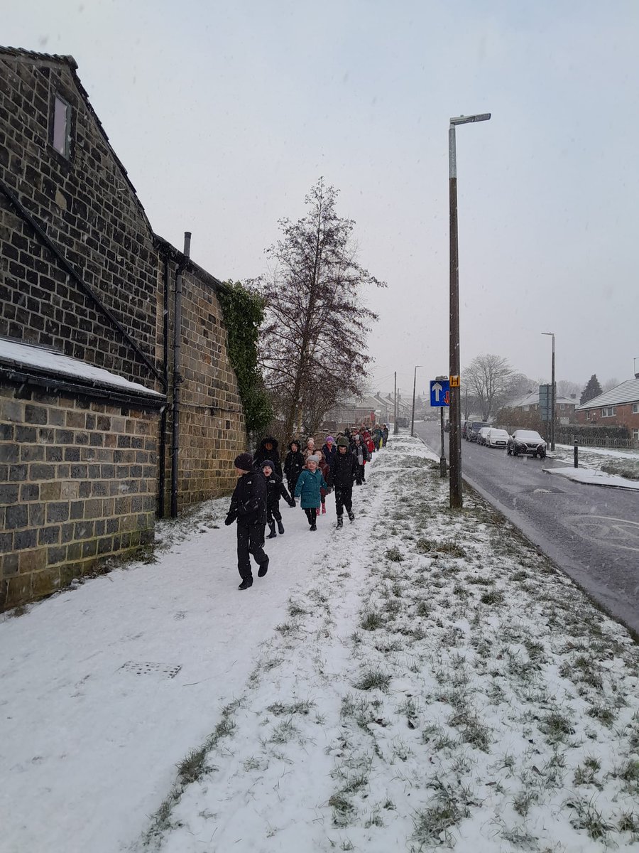 Ash Green Primary tweet media