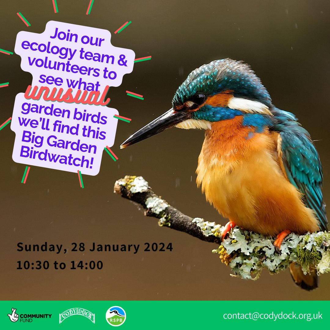 We'll be hosting some drop in birdwatching activities at #CodyDock for the @Natures_Voice 2024 #BigGardenBirdWatch 🦆🦢🐦‍⬛🦜 Join us for a riverside walk and discover the more unusual urban 'garden' birds of the #RiverLea & surrounds 👀 See you on Sun 28 Jan between 10:30 & 2 📆